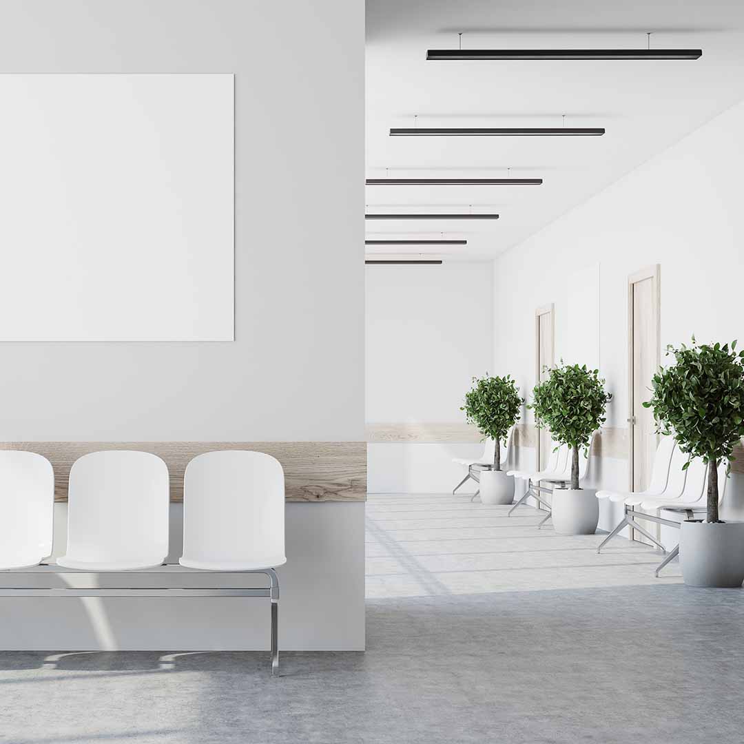 Empty modern company corridor, interior background with white chairs for visitors and interior plants